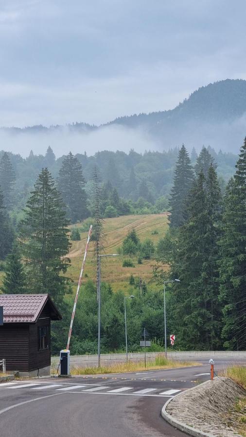 Charming Family Condo In Silver Mountain Poiana Brasov Eksteriør billede