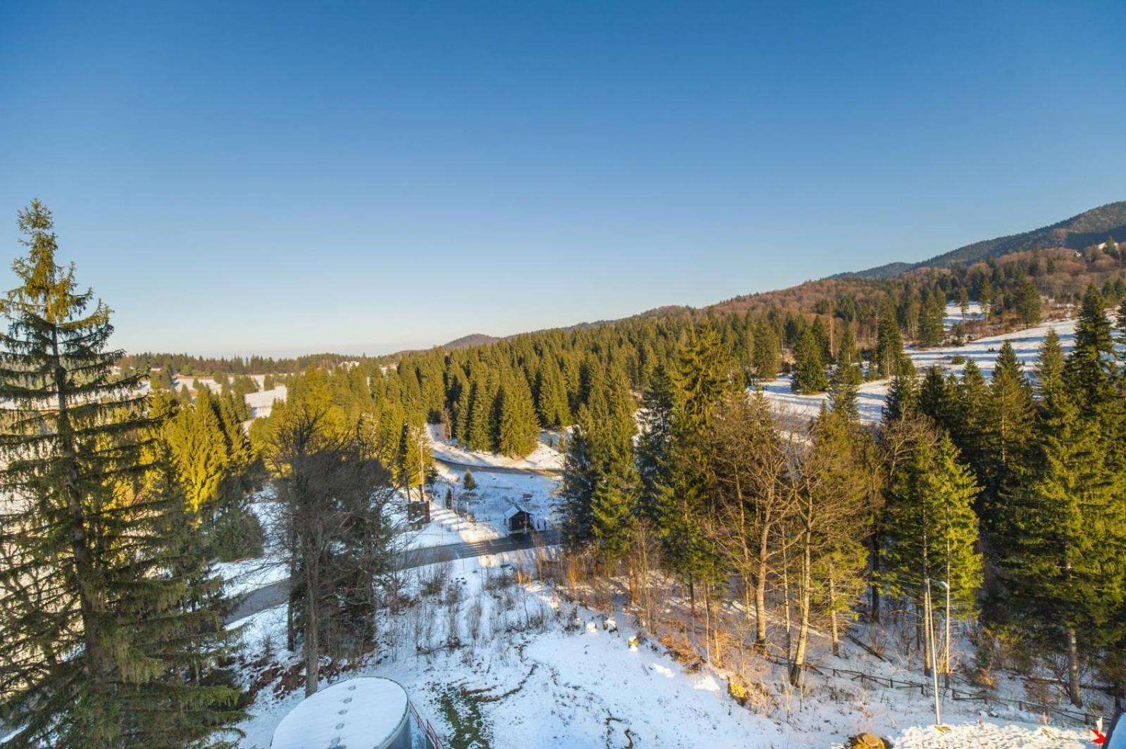 Charming Family Condo In Silver Mountain Poiana Brasov Eksteriør billede